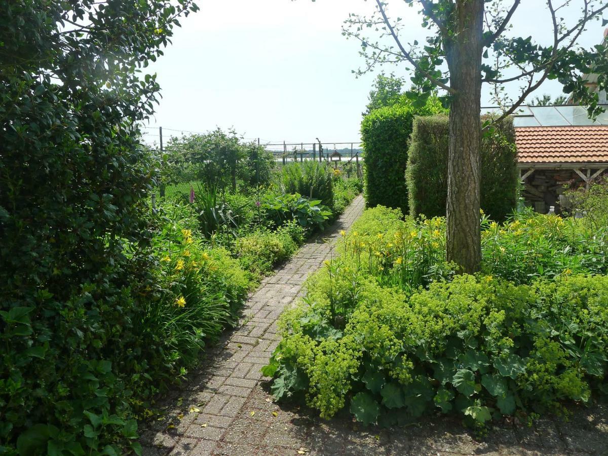B&B De Kleine Wijngaard Roggel Ngoại thất bức ảnh