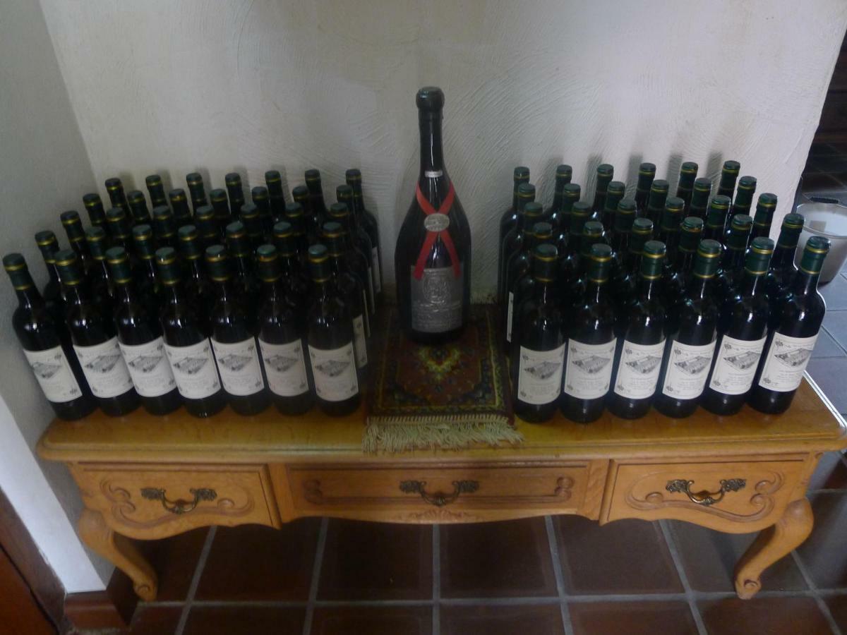 B&B De Kleine Wijngaard Roggel Ngoại thất bức ảnh
